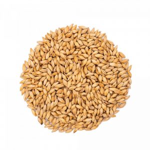 Malto Castle Malting® Peated