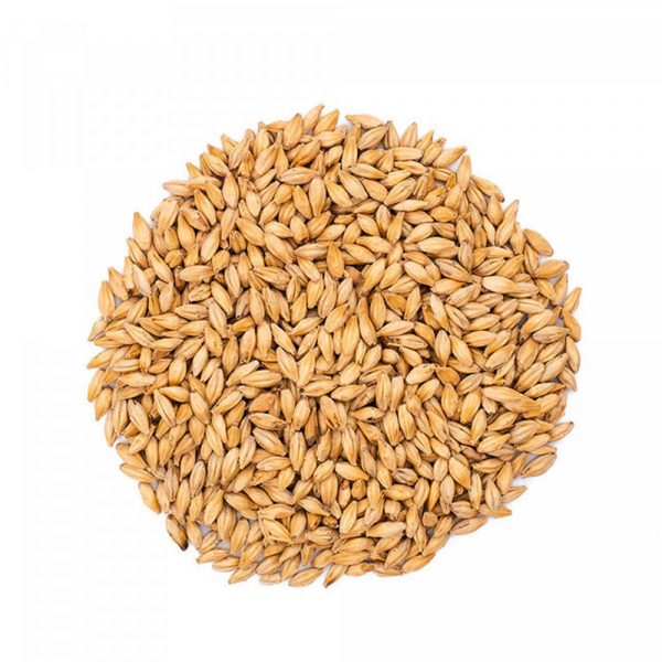 Malto Castle Malting® Peated - immagine 1